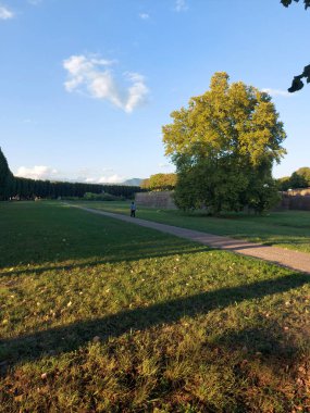 Francigena üzerinden Toskana 'daki tarlalar, tepeler ve üzüm bağları. Yüksek kalite fotoğraf