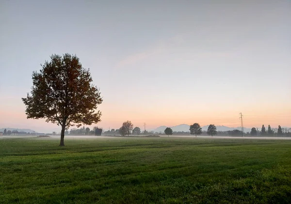 Morgendämmerung Mit Nebel Und Nebel Der Poebene Hochwertiges Foto — Stockfoto