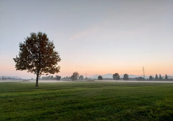 Dawn Mist Fog Valley High Quality Photo — Stock Photo, Image