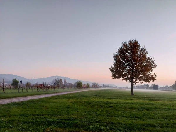 Alba Con Nebbia Nebbia Nella Pianura Padana Foto Alta Qualità — Foto Stock