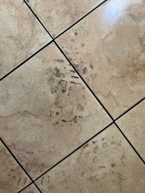 Kirli lekeli beyaz seramik zemin. Yüksek kalite fotoğraf