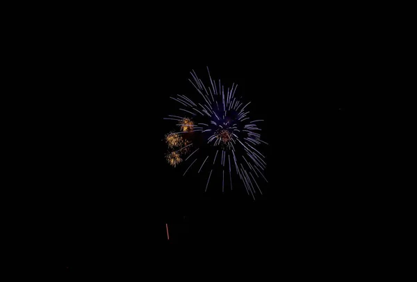 Bloemen Vuur Werkt Zwarte Lucht Hoge Kwaliteit Foto — Stockfoto