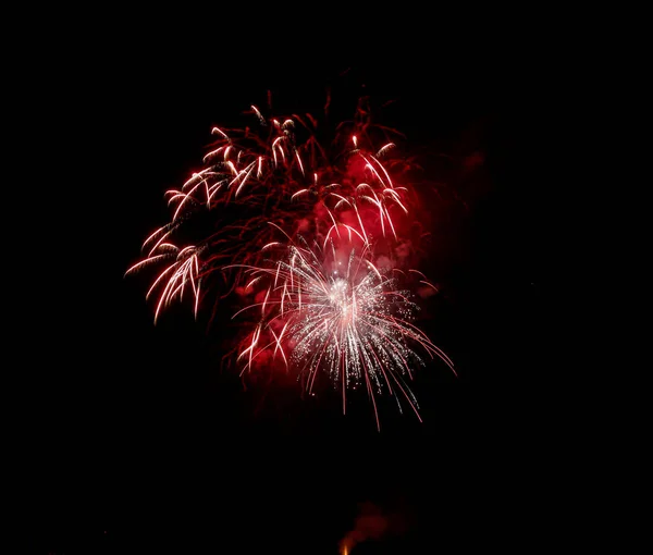 Blütenfeuerwerk Schwarzen Himmel Hochwertiges Foto — Stockfoto