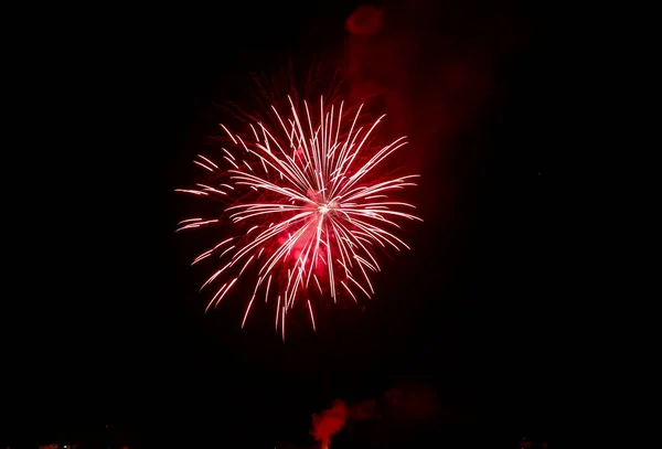 Blütenfeuerwerk Schwarzen Himmel Hochwertiges Foto — Stockfoto