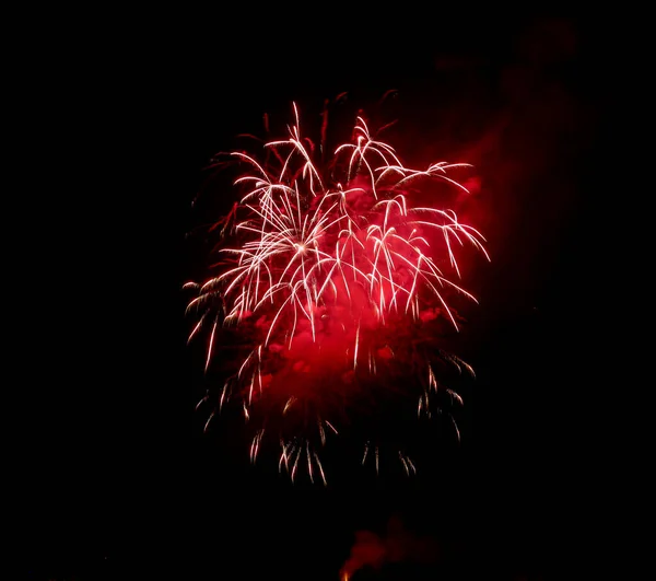 Flores Fuego Funciona Cielo Negro Foto Alta Calidad — Foto de Stock