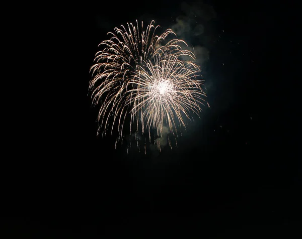 Flowers Fire Works Black Sky High Quality Photo — Stock Photo, Image