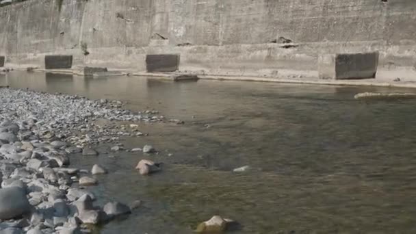 Trockener Fluss Enza Einem Sonnigen Tag Reggio Emilia — Stockvideo