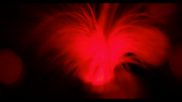 灯光和光纤的暗移动背景 — 图库视频影像