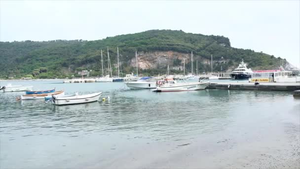 Portovenere Spezia Italy 2019 Overview Vine Boats Harbor High Quality — Stock Video