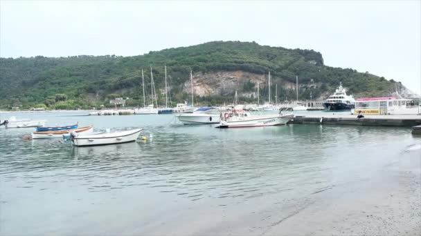 Portovenere Spezia Talya 2019 Limandaki Sarmaşık Teknelerin Genel Görünümü Yüksek — Stok video