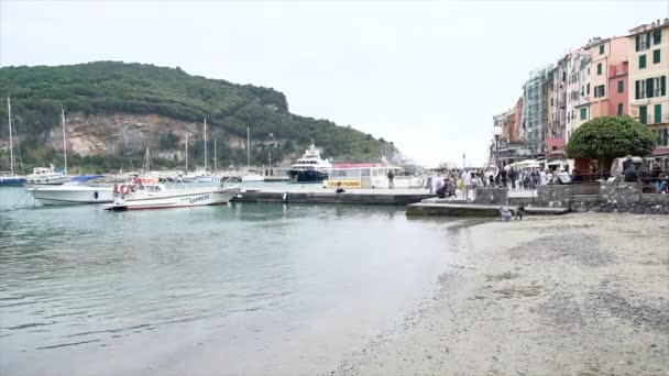 Portovenere Spezia Talya 2019 Limandaki Sarmaşık Teknelerin Genel Görünümü Yüksek — Stok video