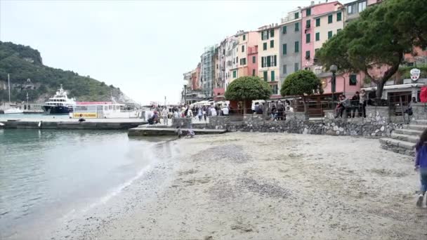 Portovenere Spezia Talya 2019 Limandaki Sarmaşık Teknelerin Genel Görünümü Yüksek — Stok video