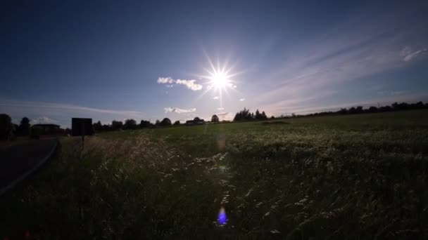 Panorama Údolí Pádu Zelenou Pšenicí Slunečného Dne — Stock video