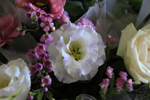 Цветок Розы Большой Цветок Расположение Фона Высокое Качество Фото — стоковое фото