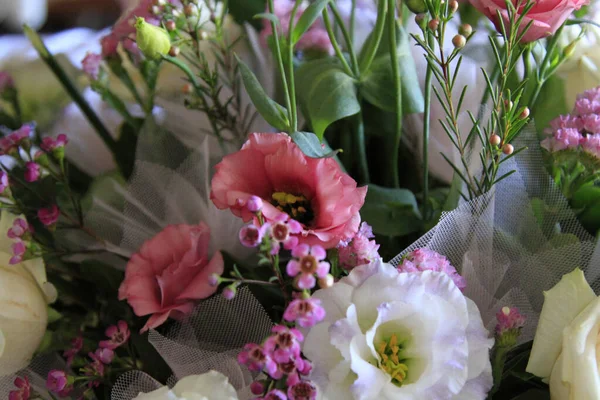 Цветок Розы Большой Цветок Расположение Фона Высокое Качество Фото — стоковое фото