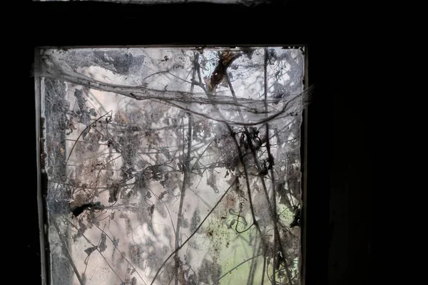 Terk Edilmiş Büyük Bir Evde Örümcek Ağları Olan Bir Pencere — Stok fotoğraf