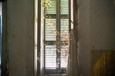 Terk edilmiş büyük bir evde örümcek ağları olan bir pencere. Yüksek kalite fotoğraf