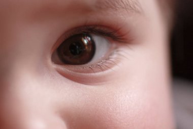 Makro çekimde güzel bebek gözleri var. Yüksek kalite fotoğraf