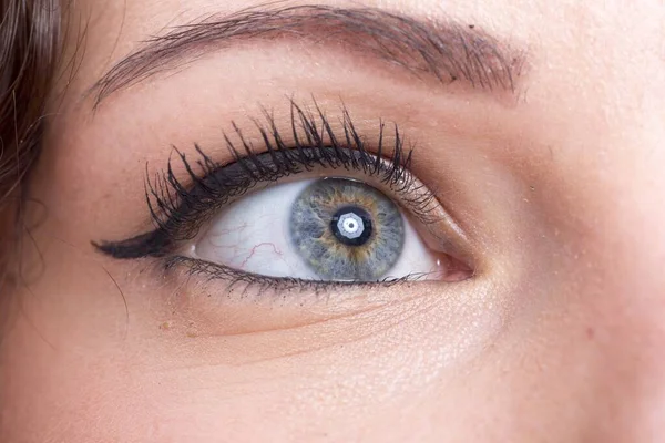 Schöne Brünette Mädchen Himmlischen Blauen Augen Aus Nächster Nähe Hochwertiges — Stockfoto