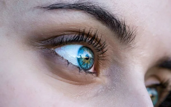 Όμορφη Μελαχρινή Κοπέλα Ουράνια Μπλε Μάτια Γκρο Πλαν Υψηλής Ποιότητας — Φωτογραφία Αρχείου