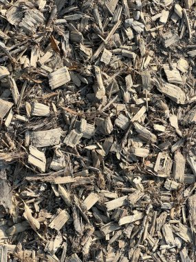 Yonga makinesiyle inceledikten sonra odun öğütülmüş. Yüksek kalite fotoğraf
