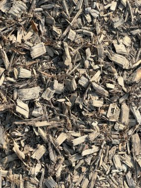 Yonga makinesiyle inceledikten sonra odun öğütülmüş. Yüksek kalite fotoğraf