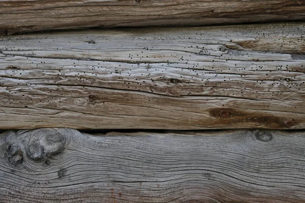 House Wall Made Wooden Logs High Quality Photo — Stock Photo, Image