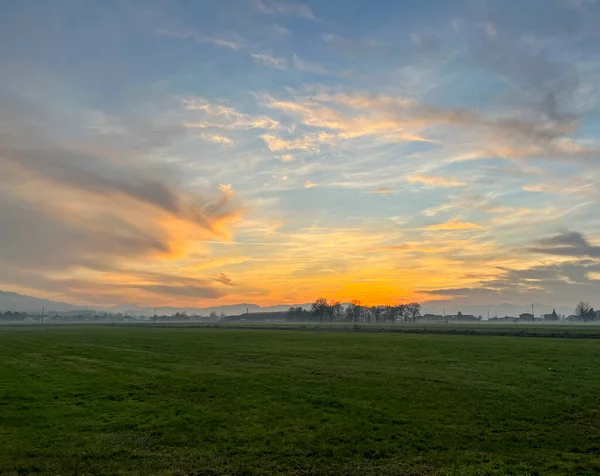 Gün batımında ekilmiş yeşil tarlalar. Yüksek kalite fotoğraf