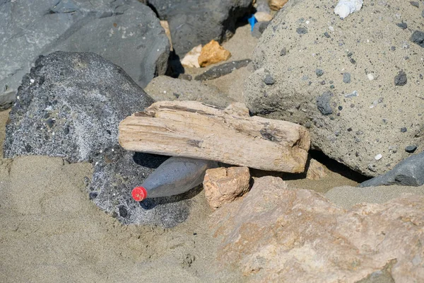 Plastik şişeyle İtalyan sahilinde israf oldu. Yüksek kalite fotoğraf