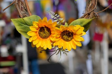 Sahte ayçiçeği çiçekleri ve sarmaşık filizleriyle kompozisyon. Yüksek kalite fotoğraf