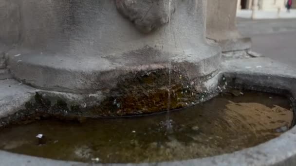 Fontana Piazza Prampolini Reggio Emilia Panoramica Filmati Alta Qualità — Video Stock