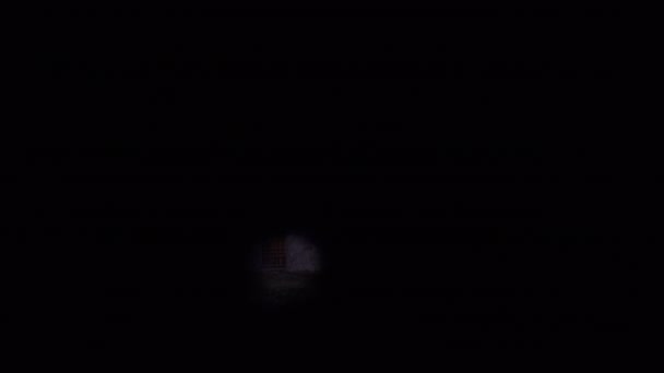 Факел Вночі Освітлює Старий Кам Яний Замок — стокове відео