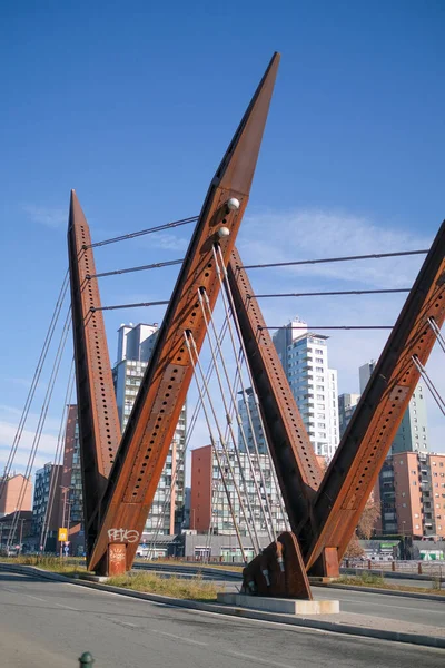 Torino 'da Livorno üzerinden köprü. Yüksek kalite fotoğraf