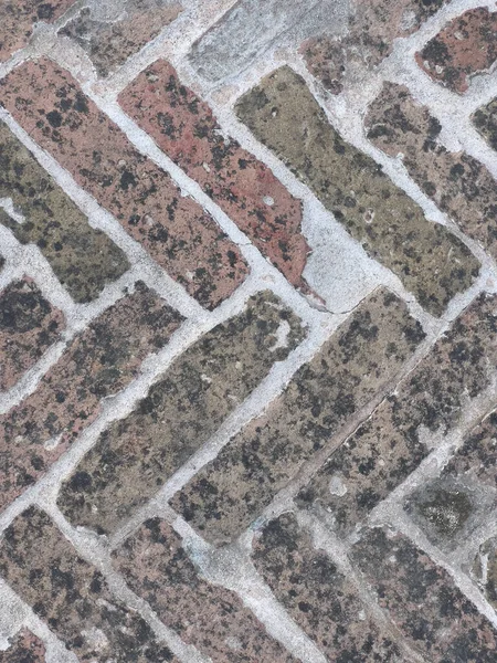 Vecchio Pavimento Mattoni Rossi Forma Orecchio Pesce Foto Alta Qualità — Foto Stock