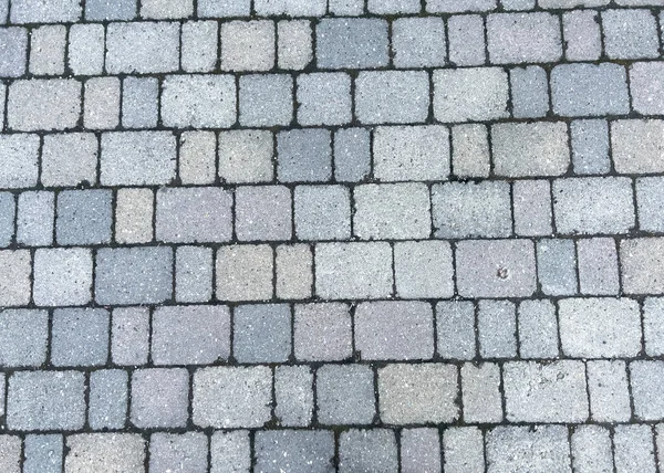 Square Concrete Self Locking Brick Floor High Quality Photo — Stock Photo, Image