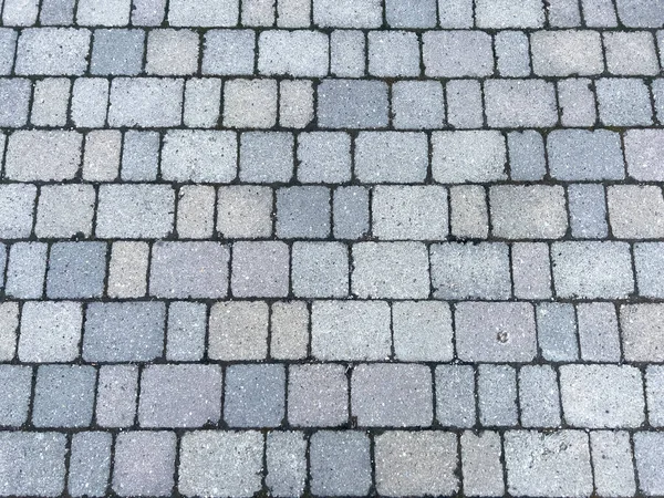 Square Concrete Self Locking Brick Floor High Quality Photo — 스톡 사진