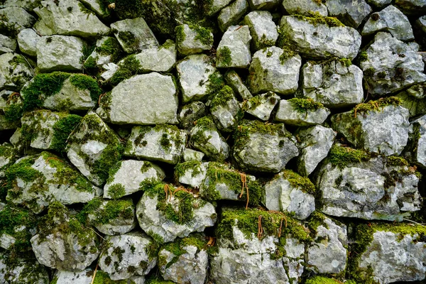 Eski taş duvar ve tuğla. Yüksek kalite fotoğraf