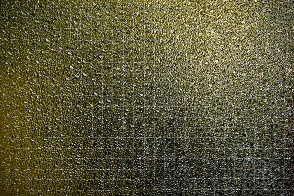 Takviye makro cam. Yüksek kalite fotoğraf