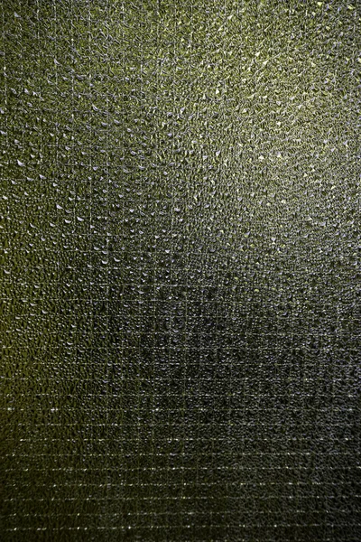 Takviye makro cam. Yüksek kalite fotoğraf