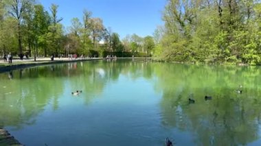 Göletli Parma Parco Ducale Panorama. Yüksek kalite 4k görüntü