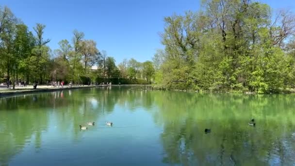 Parma Parco Ducale Panorama Pond High Quality Footage — стокове відео