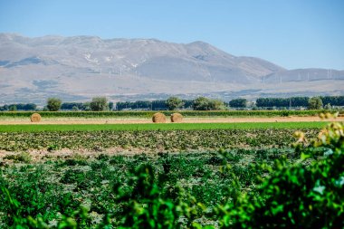 İtalya 'nın Abruzzo tepelerindeki rüzgar çiftliği. Yüksek kalite fotoğraf