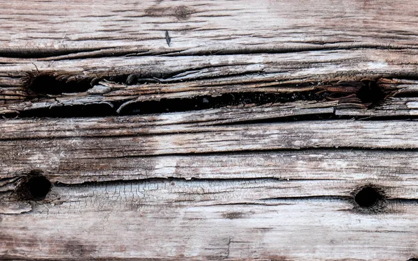 Old Wooden Trunk Carved Out Time High Quality Photo — Stock Photo, Image