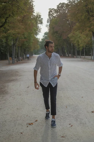 Parma Düklüğü 'nde gömlek giyen yakışıklı, koyu renk saçlı bir İtalyan çocuk. Yüksek kalite fotoğraf