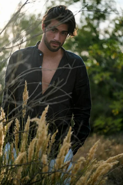 英俊的意大利黑头发小伙子 衬衫插在干草里 高质量的照片 — 图库照片