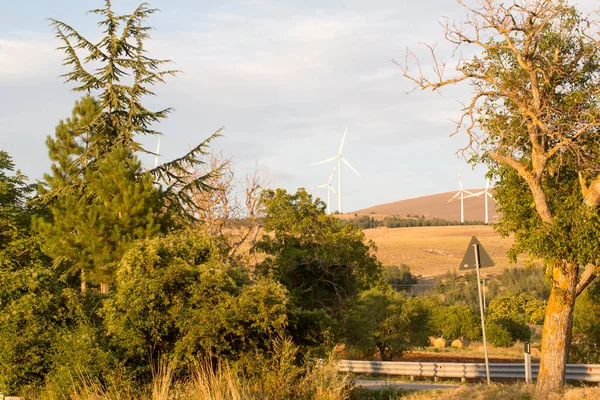 İtalya 'nın Abruzzo tepelerindeki rüzgar çiftliği. Yüksek kalite fotoğraf
