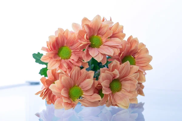 bunch of flowers daisies on white background. High quality photo