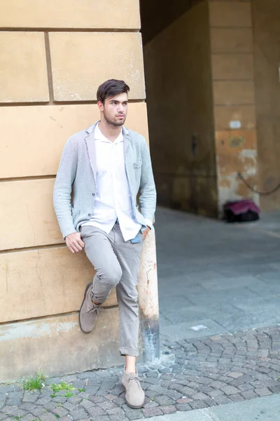 Handsome Italian Dark Haired Guy Leaning Elegant Palace High Quality — Foto de Stock