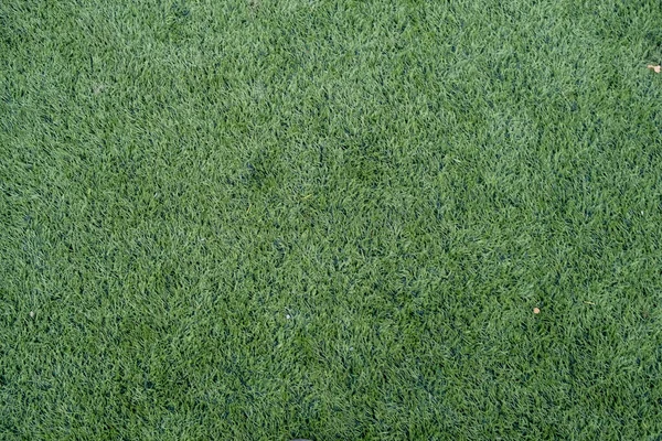 Yeşil Sentetik Çimen Spor Sahası Ürün Gösterimi Afişi Maketi Için — Stok fotoğraf
