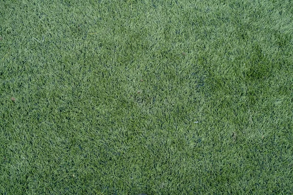 Зеленый Синтетический Травяной Спорт Спортивный Фон Демонстрации Продукта Баннера Макета — стоковое фото